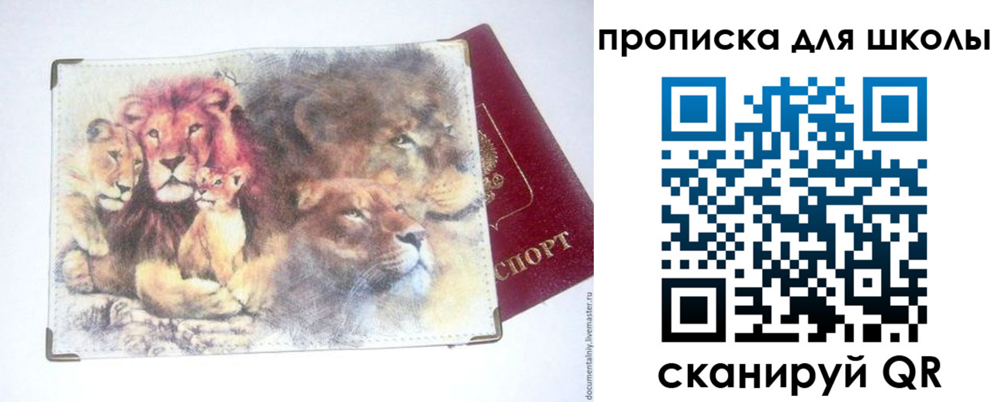временная регистрация гарантия в Ковдоре